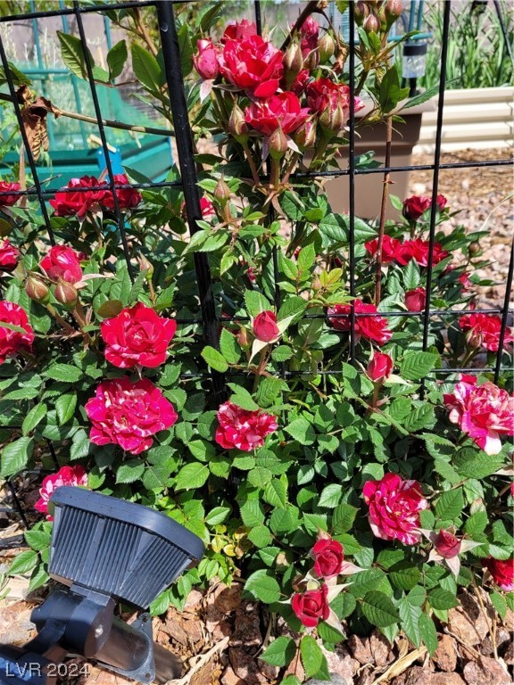 2224 Suffron Hills Court