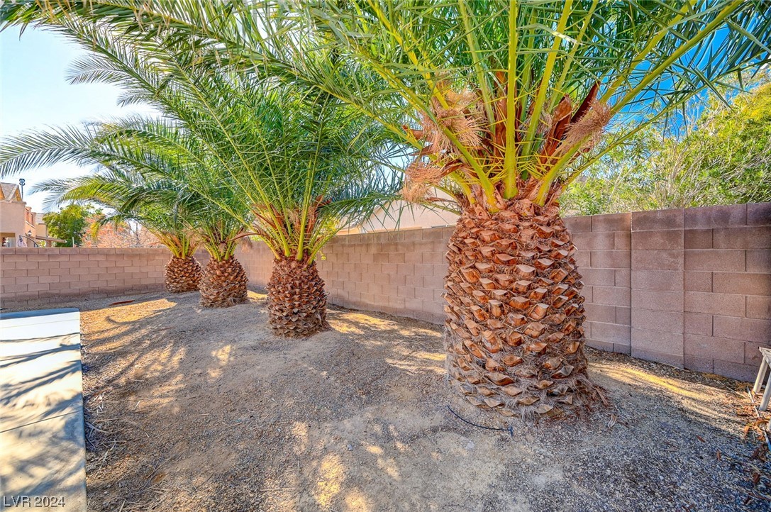 4043 Lilac Creek Court