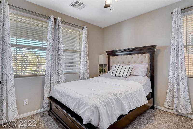 793 Cadence View Way