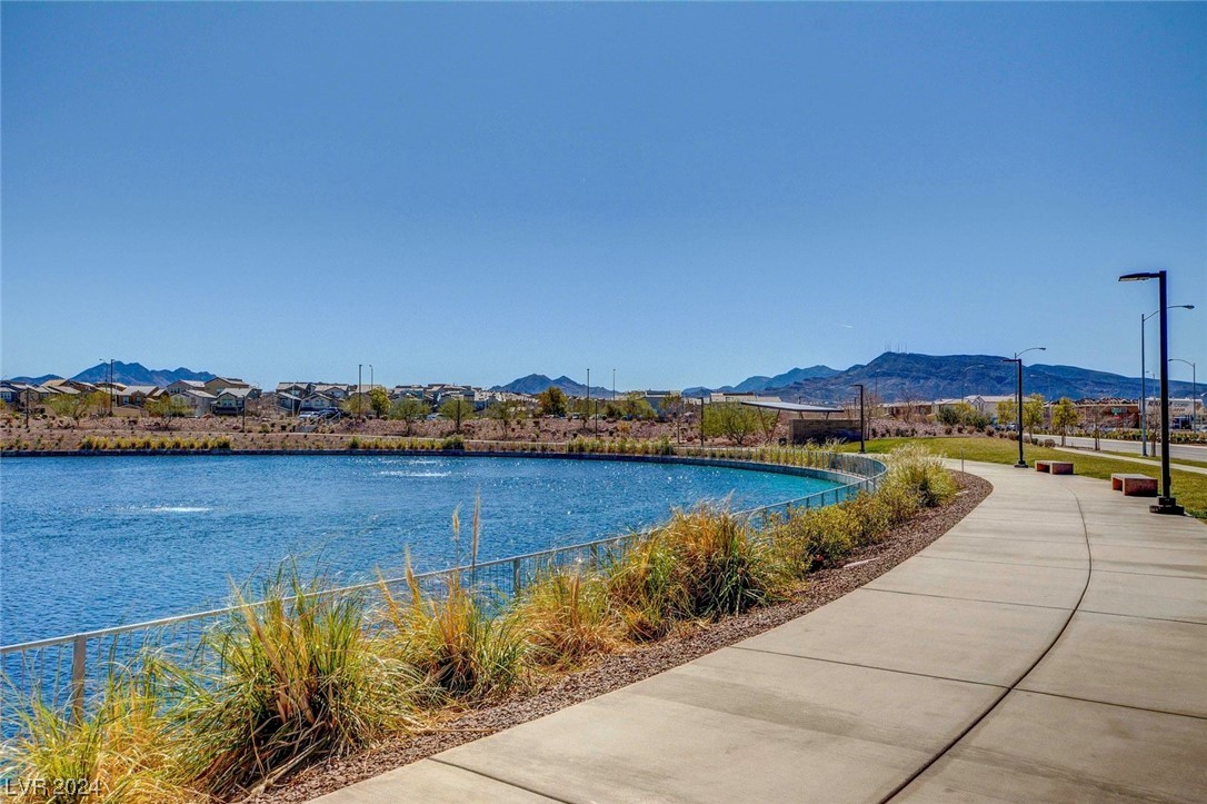 793 Cadence View Way