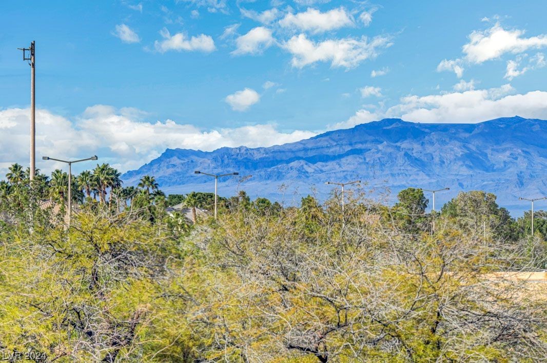 8728 Red Rio Drive 202