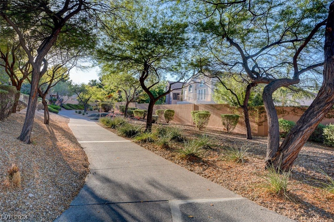 8728 Red Rio Drive 202