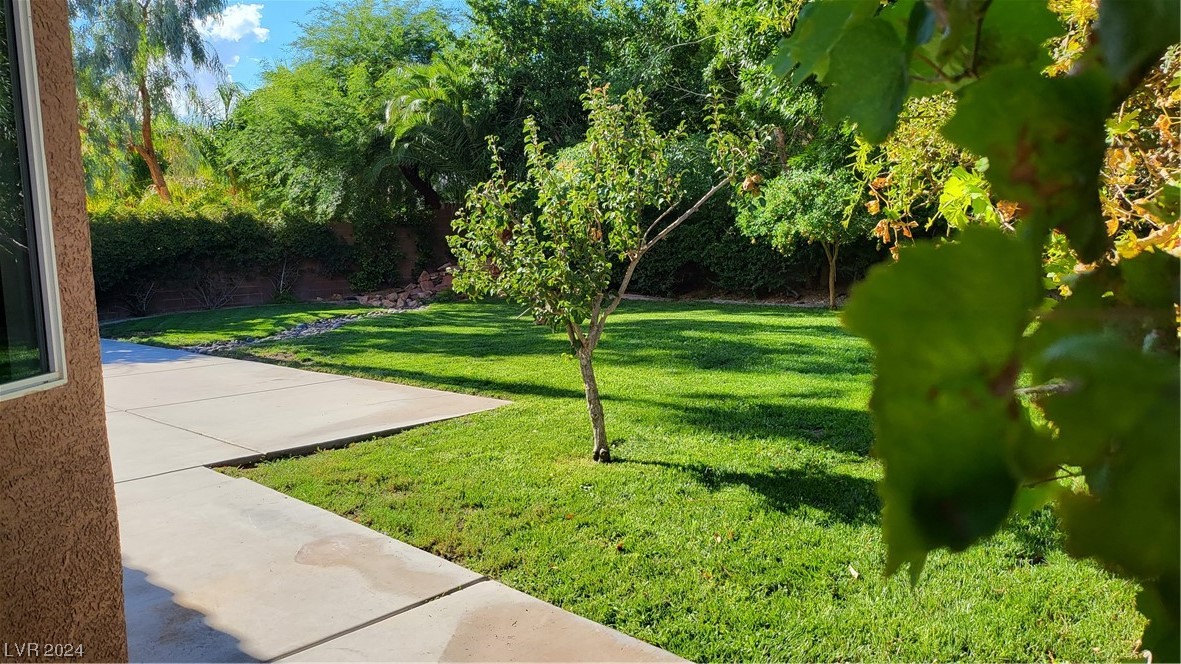 9926 Masterful Drive