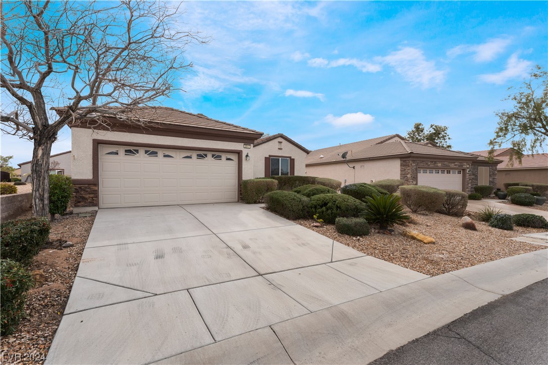 2517 Penumbra Drive