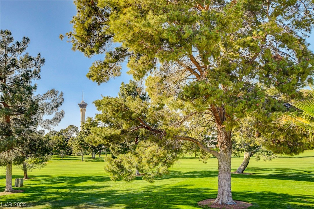 2943 Bel Air Drive