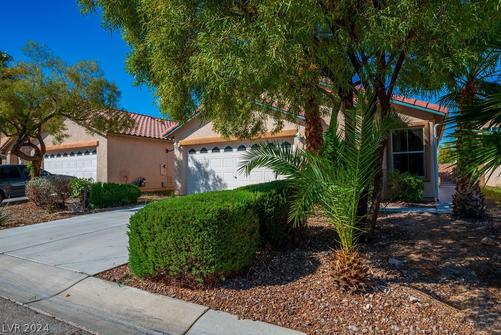 11073 Parete Court