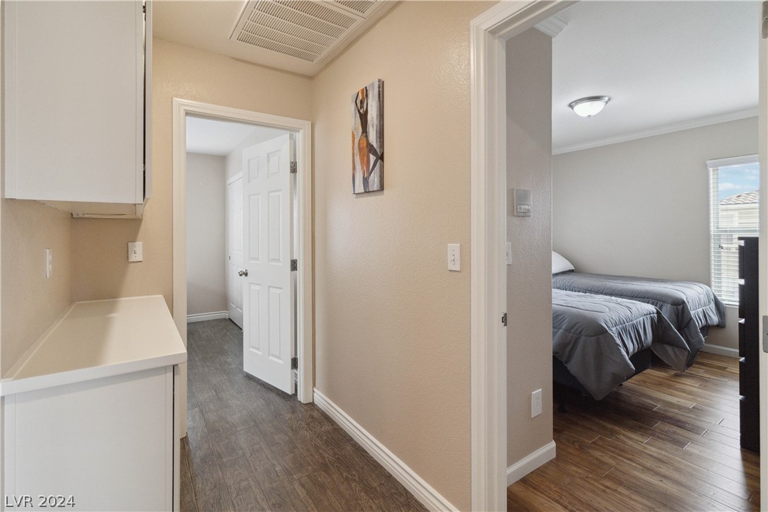9523 Leaping Lizard Street