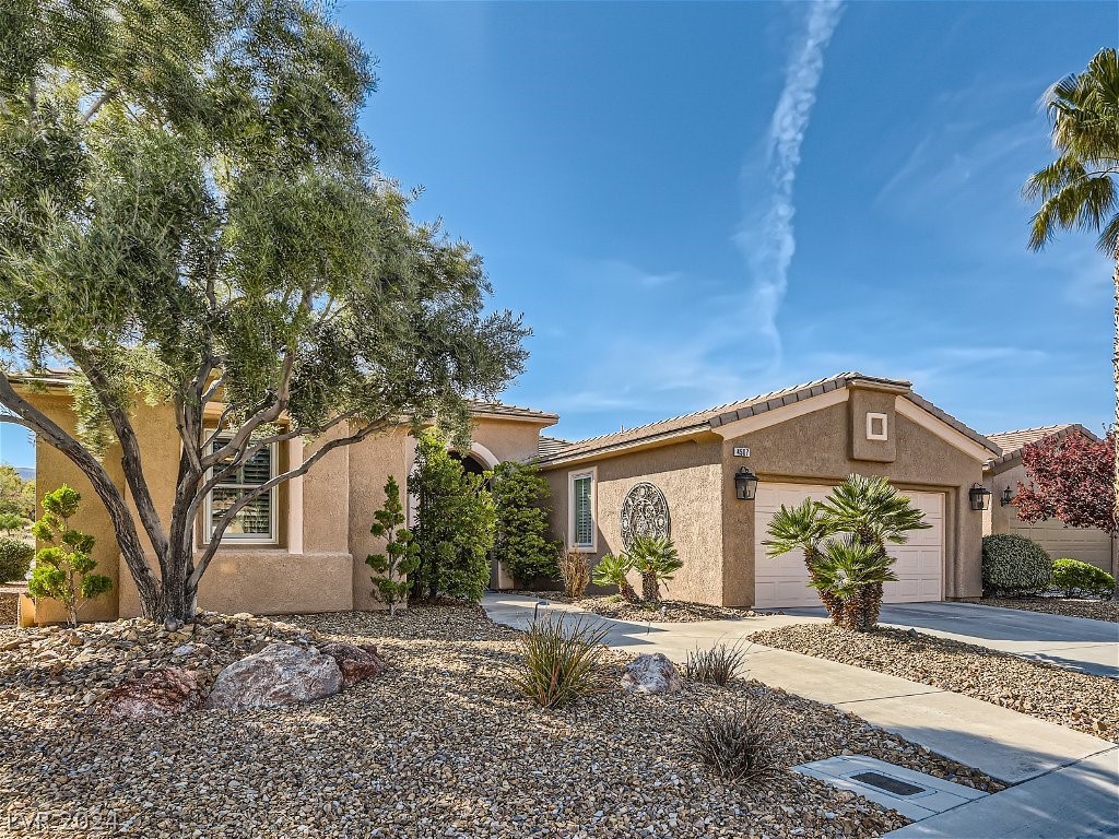 4507 Regalo Bello Street