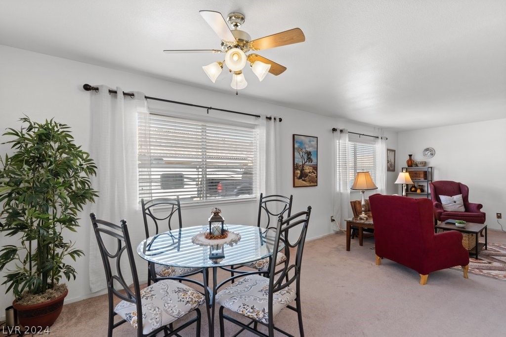 733 Tawney Eagle Street