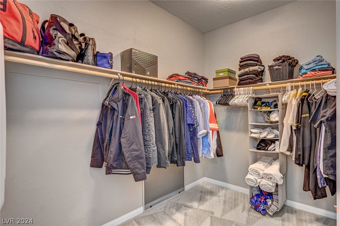 12540 Skylight View Street