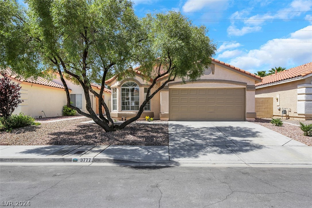 3777 Bossa Nova Drive