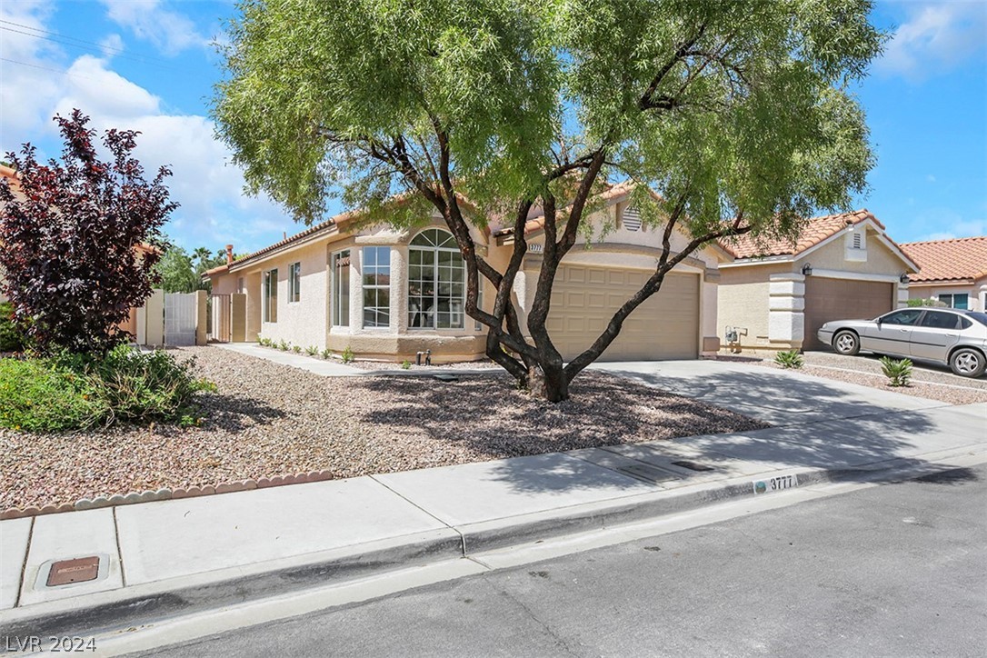 3777 Bossa Nova Drive