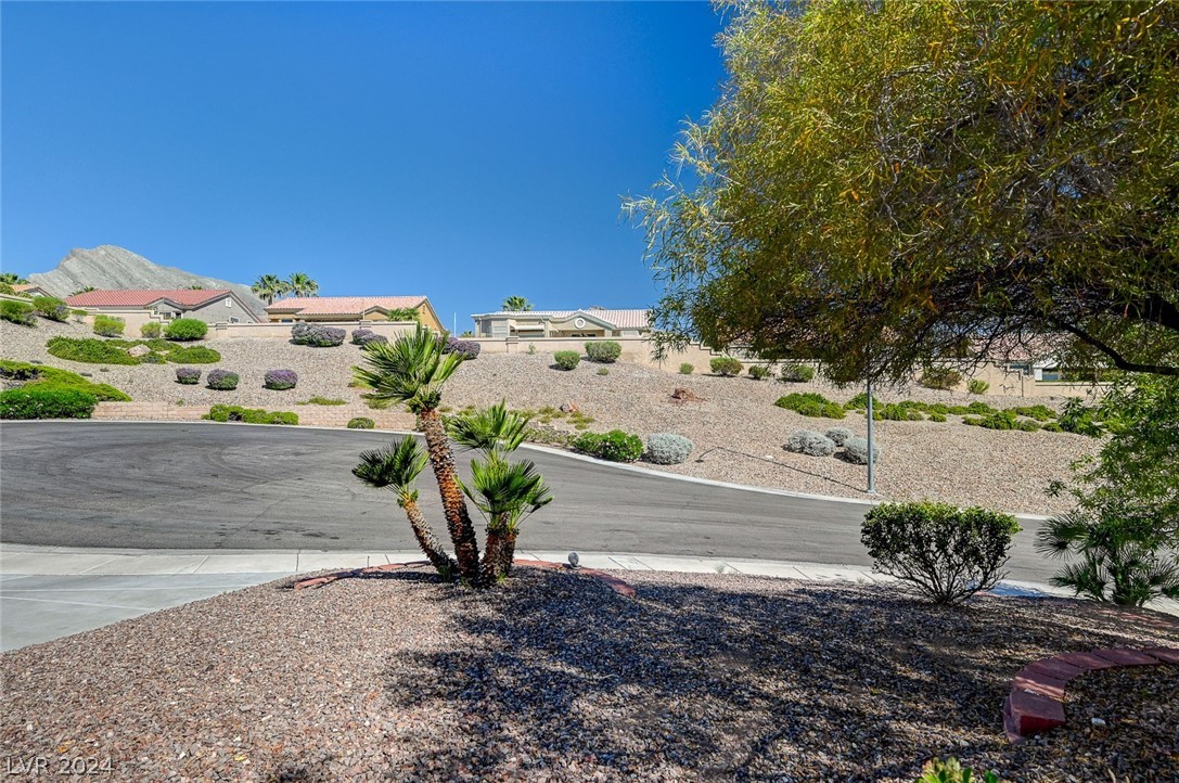 10517 City Clouds Court