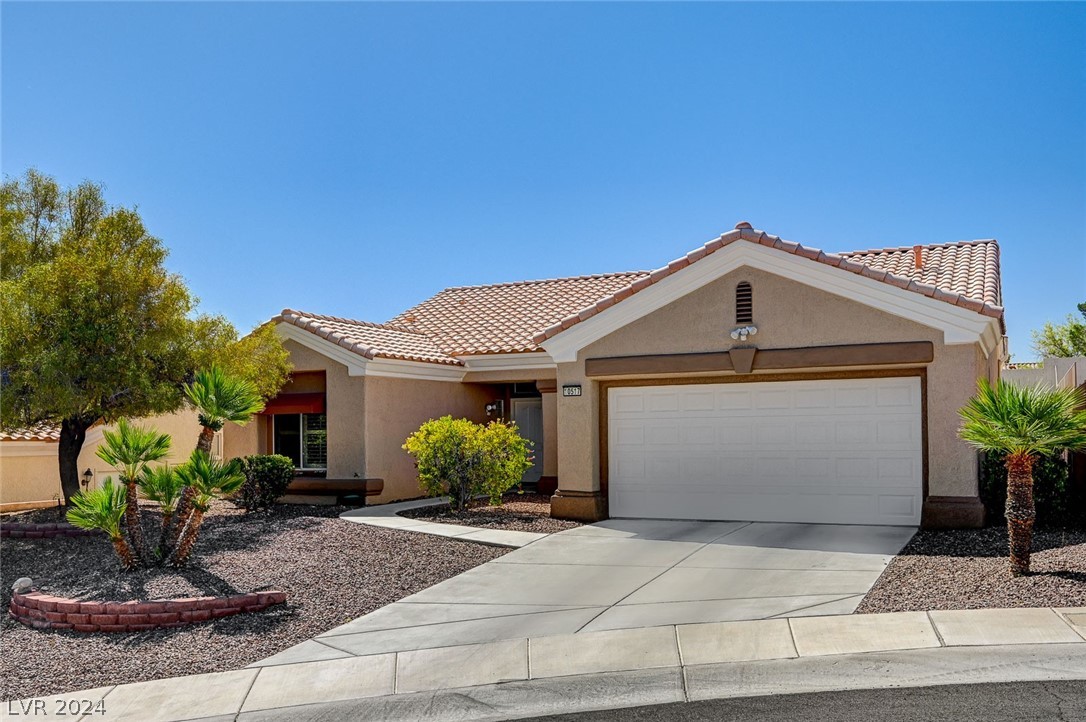 10517 City Clouds Court