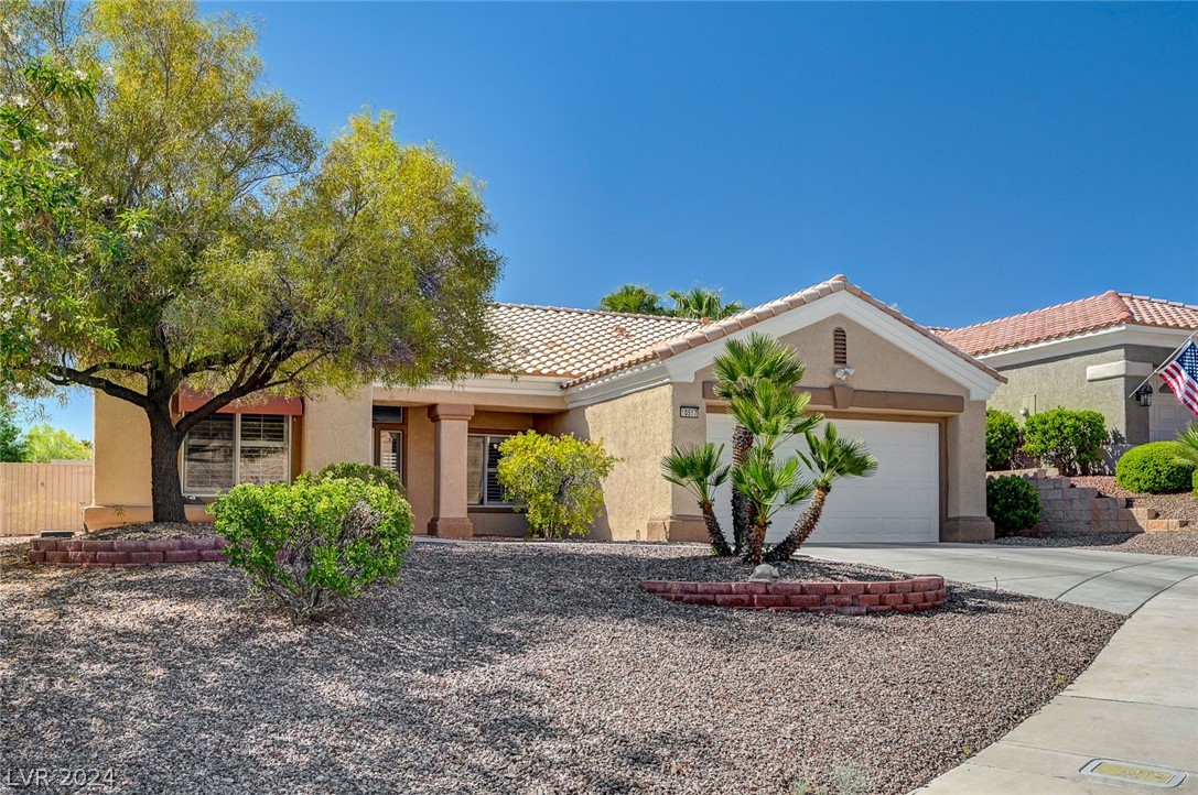 10517 City Clouds Court