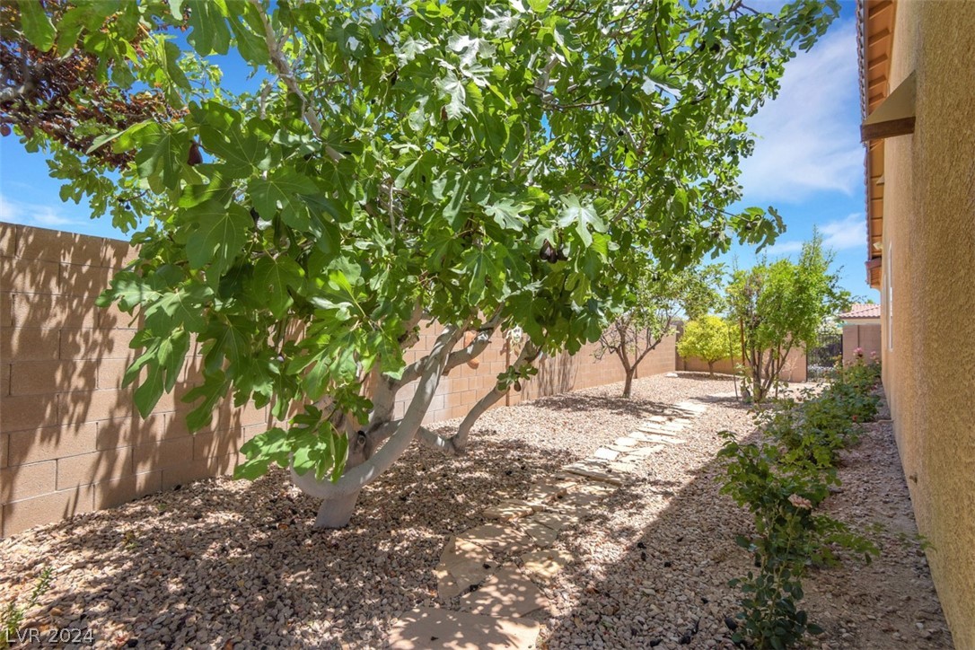 7164 Adobe Falls Court