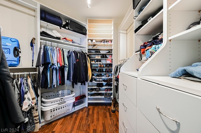 3947 Windansea Street