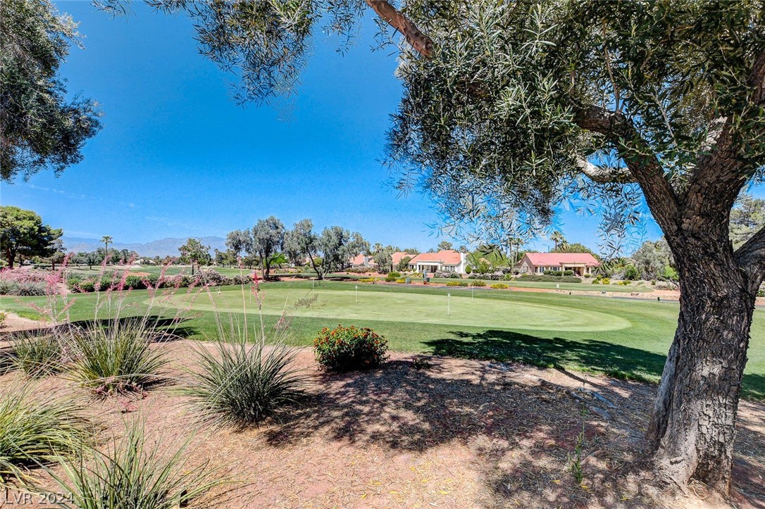 9201 Cactus Wood Drive