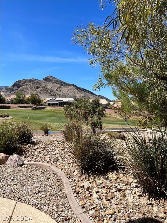 10528 Back Plains Drive