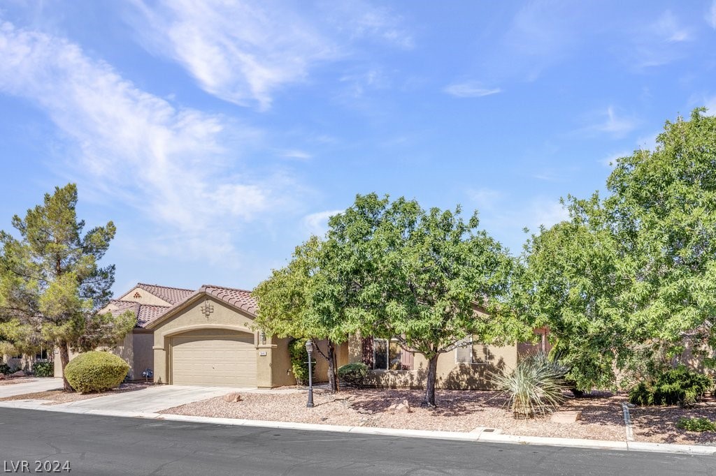 3845 Waynesvill Street