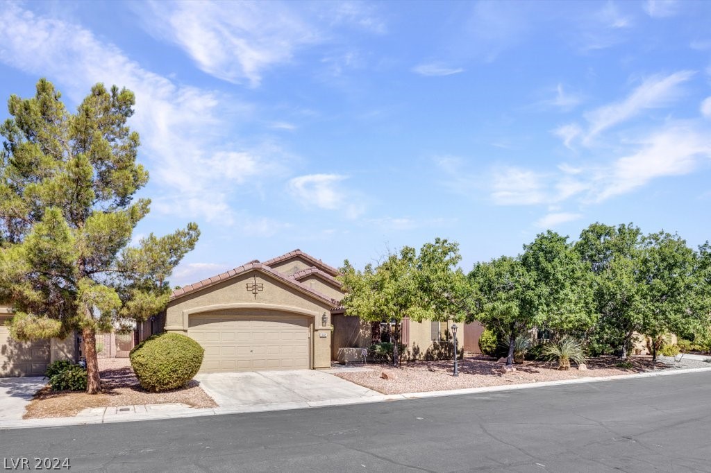 3845 Waynesvill Street