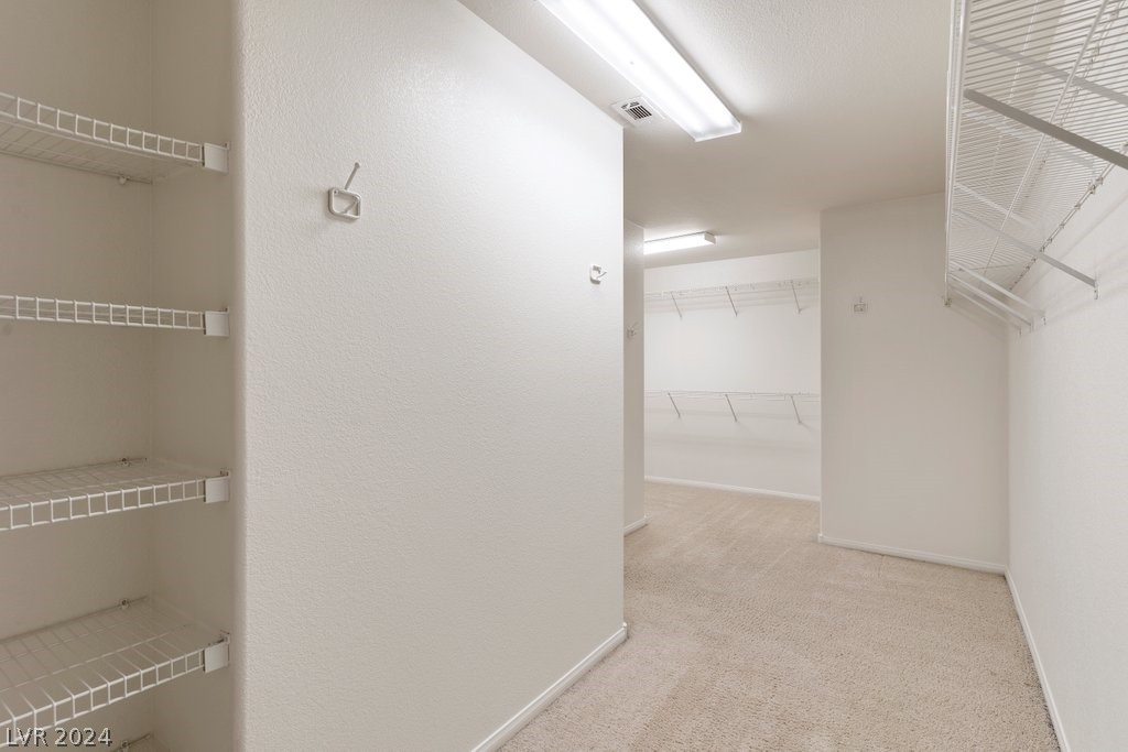 3845 Waynesvill Street