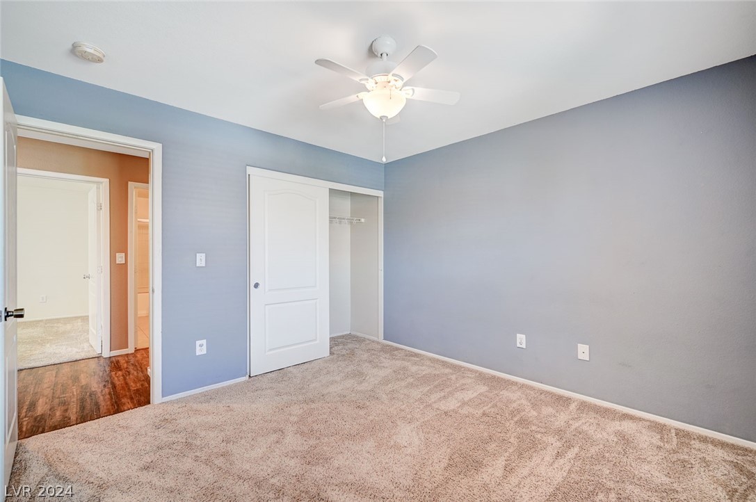 5633 Native Sunflower Street