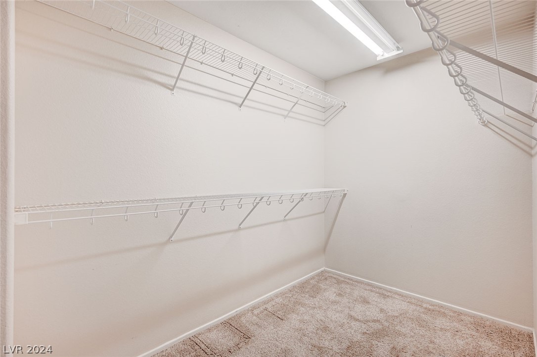 5633 Native Sunflower Street