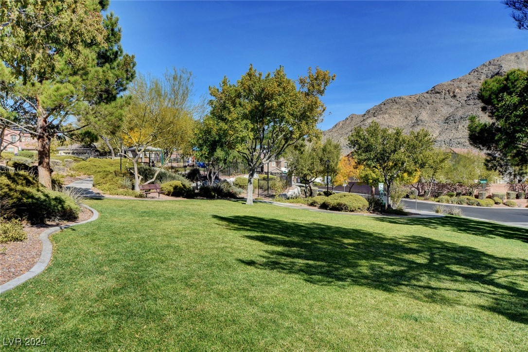 10471 Cook Bluff Avenue