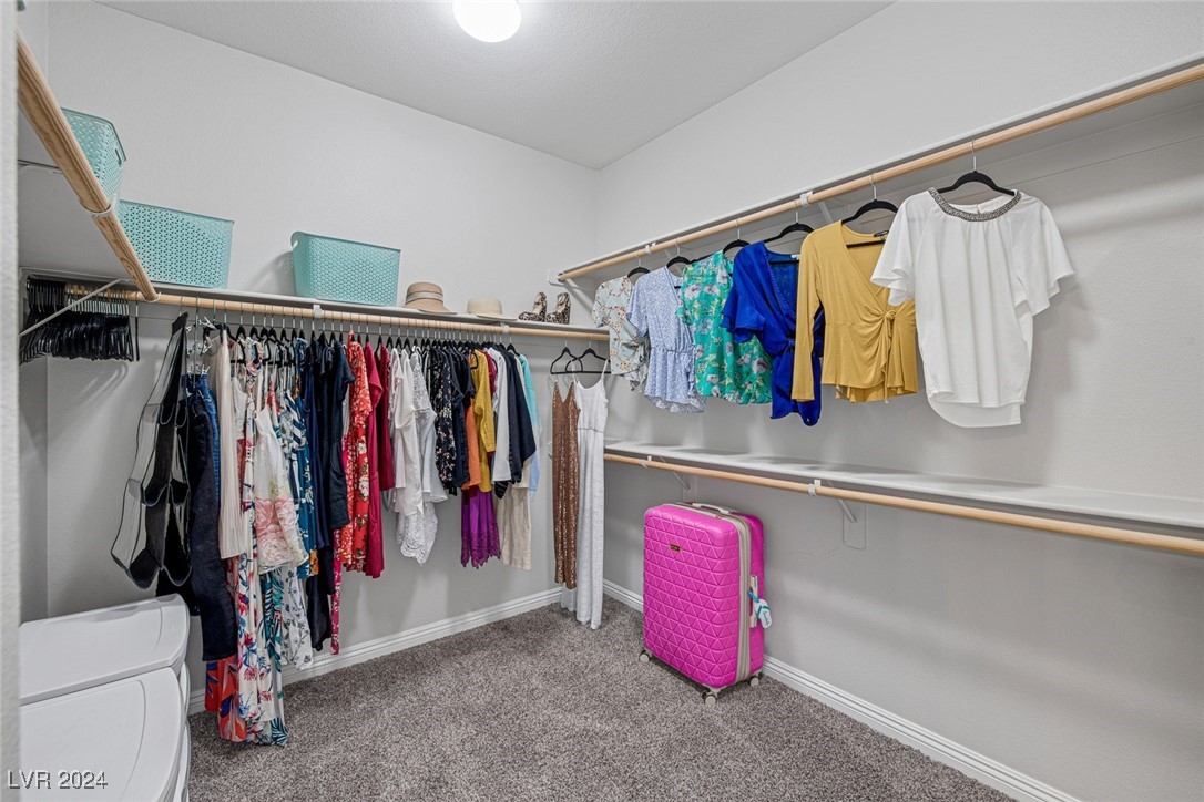 1696 Moss Canyon Avenue