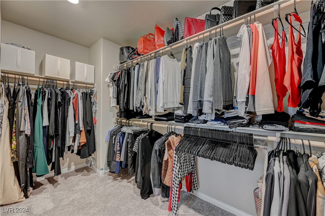 8934 Cypress Fog Court