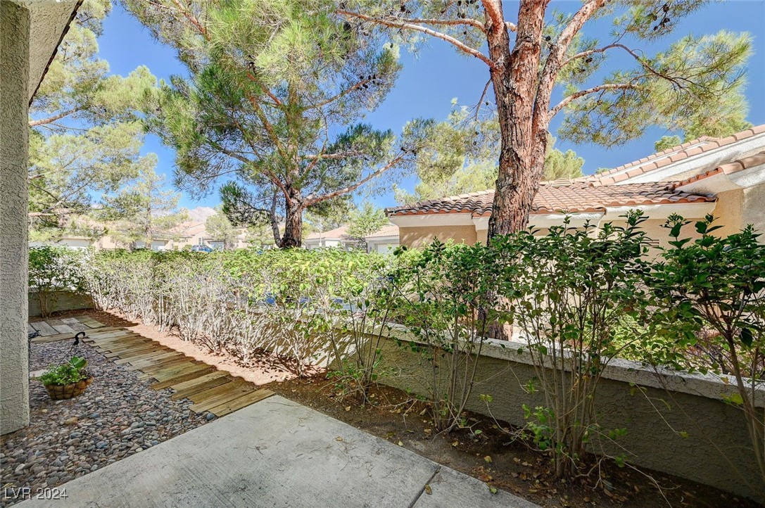 2024 Summer Cove Court 101