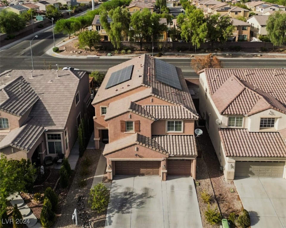2008 Pink Lily Avenue