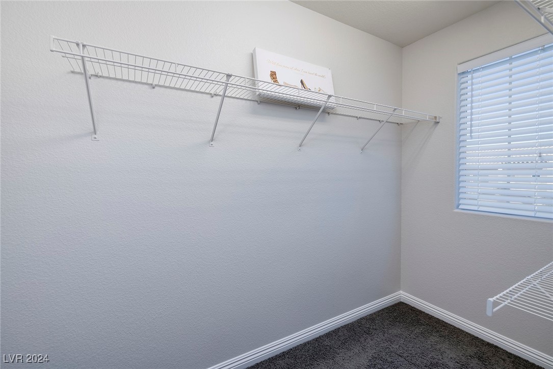 2867 Starling Summit Street 0