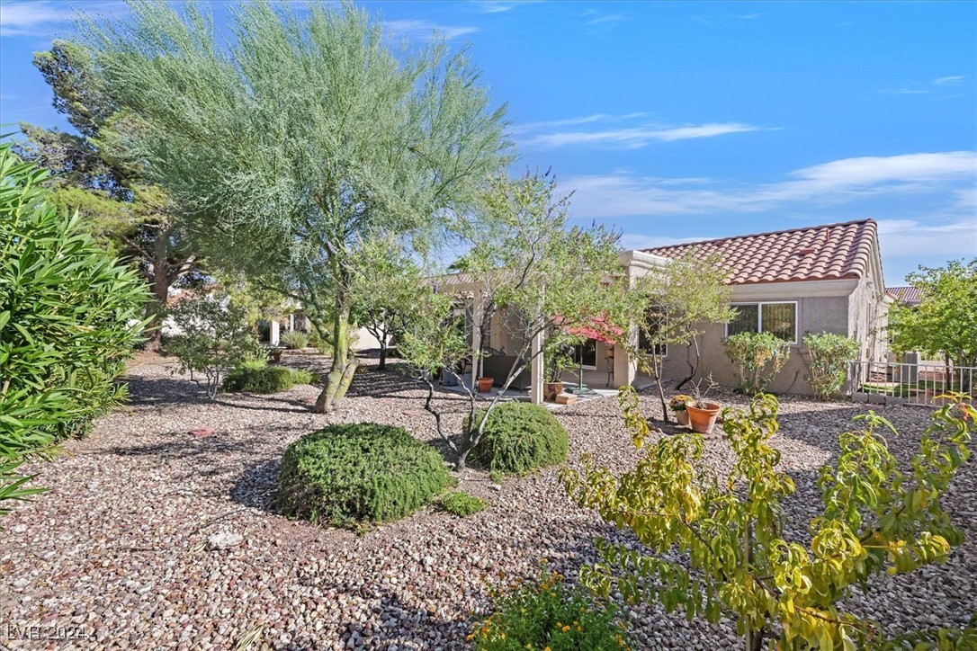 8916 Desert Mound Drive