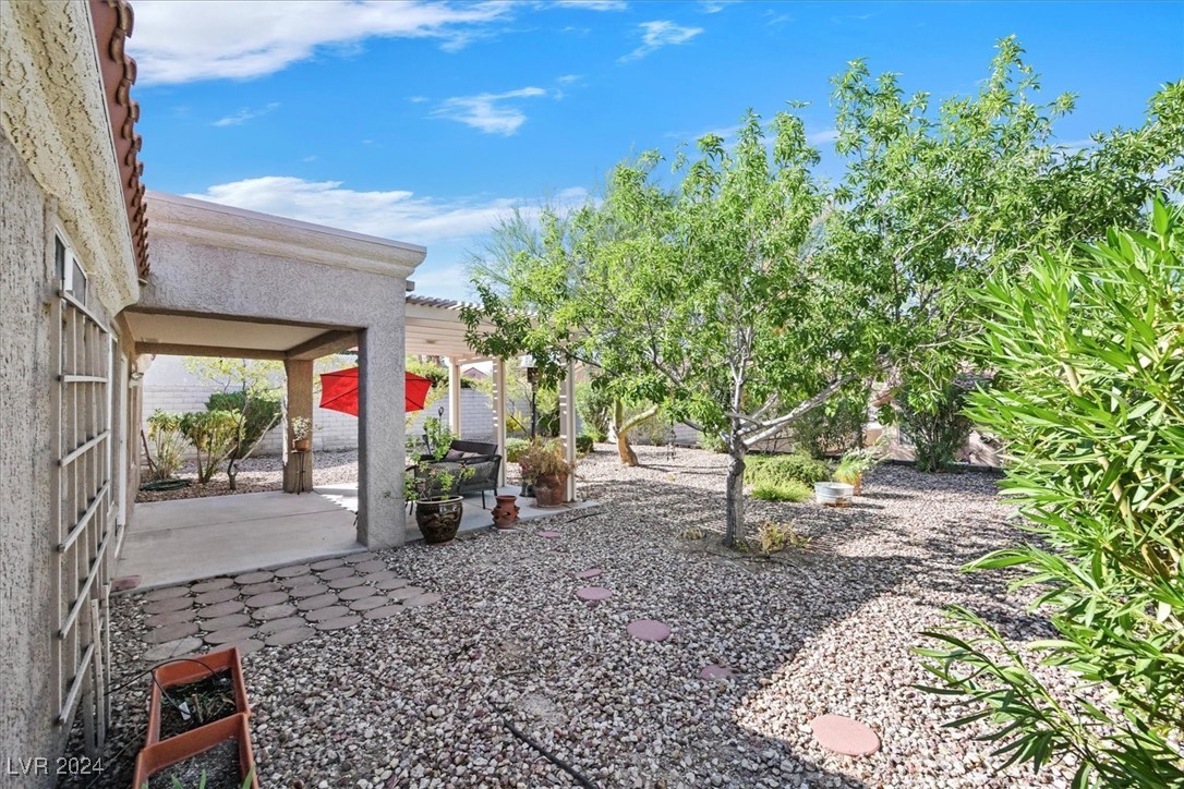 8916 Desert Mound Drive