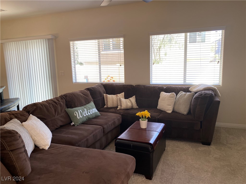 10084 Sunset Palisades Way 102