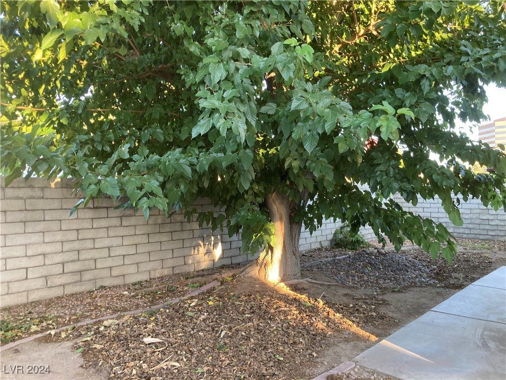 2021 De Osma Street 0