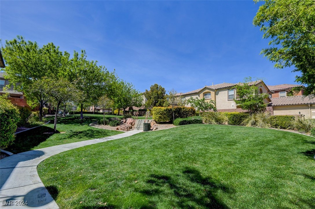 768 White Grotto Street