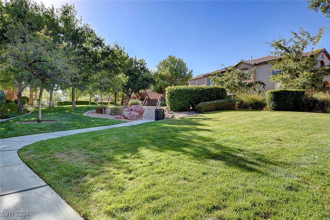 768 White Grotto Street