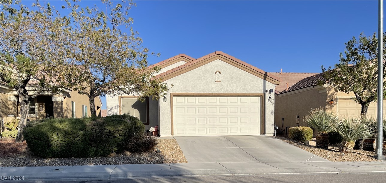 7932 Grey Teal Street