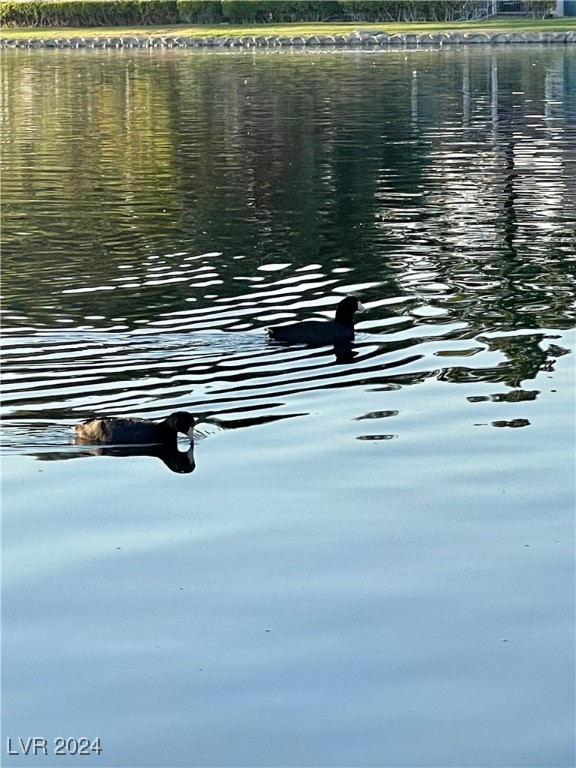 3151 Soaring Gulls Drive 1159