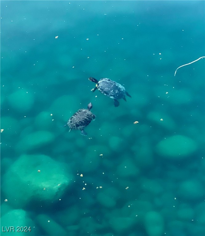 3151 Soaring Gulls Drive 1159