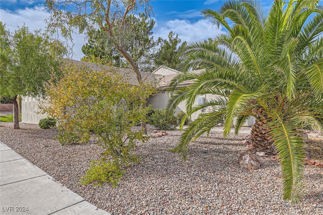 511 Dart Brook Place