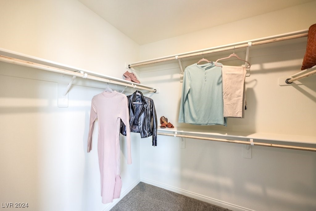 5655 Scarlet Rock Street Lot 93