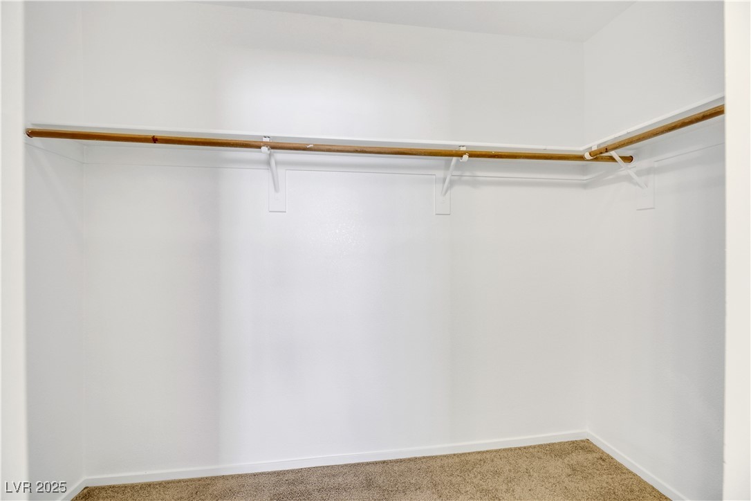 10064 Fragile Fields Street