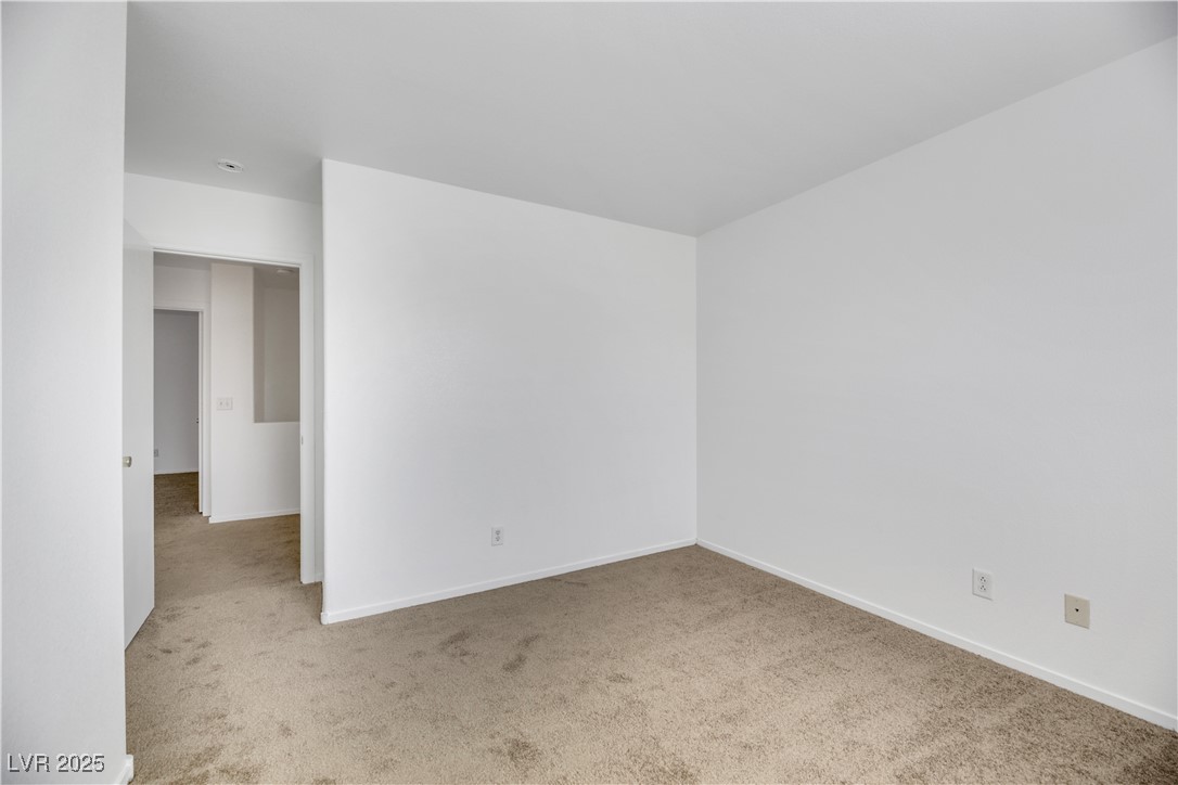 10064 Fragile Fields Street