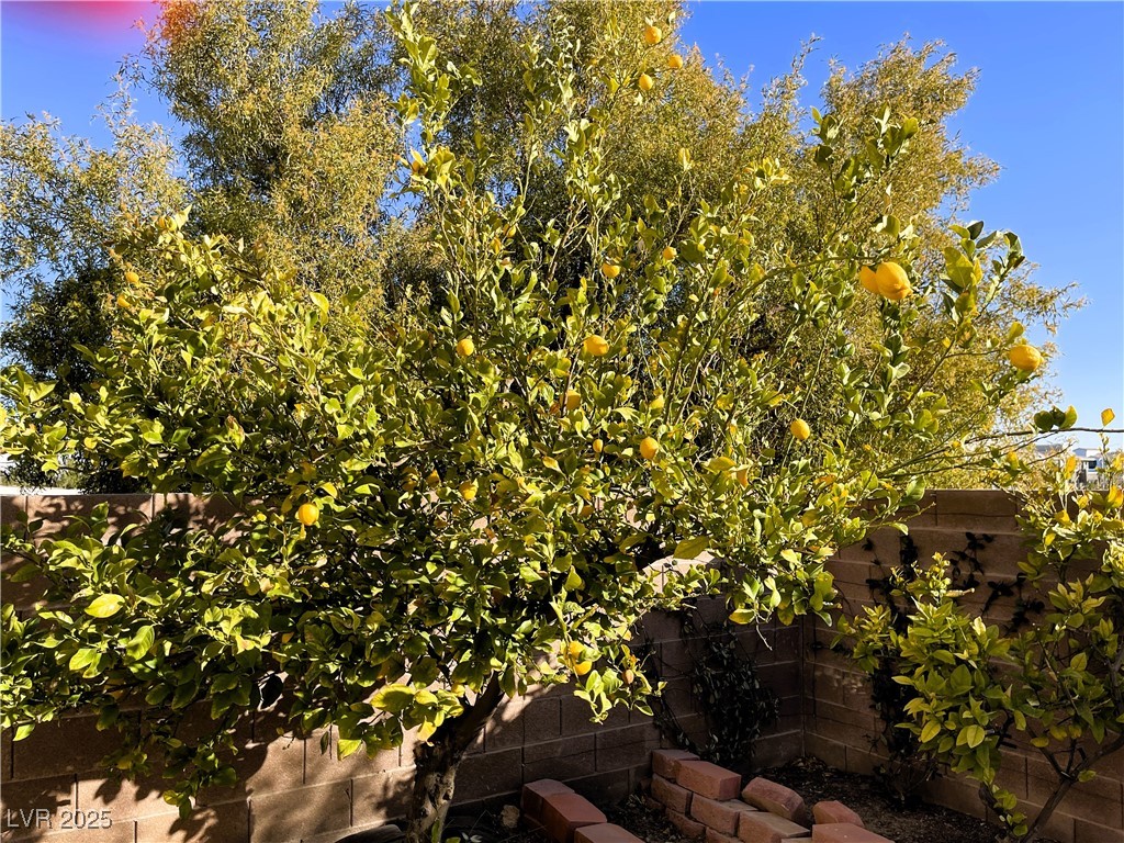 10031 Candle Canyon Court