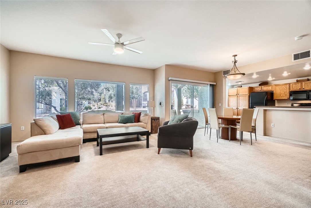 10809 Garden Mist Drive 1019