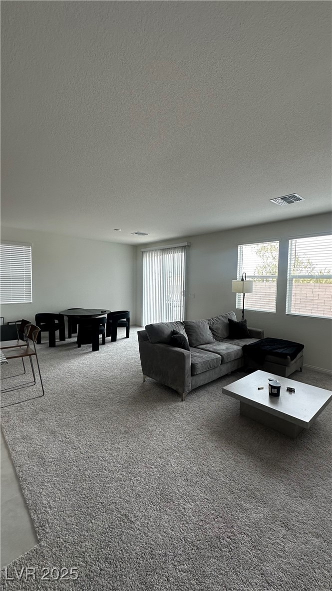 4378 Sprawling Pear Court